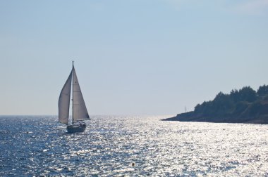 tropical exótico al atardecer