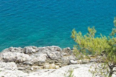 Hırvatistan, harika doğa, mavi su beautuful kayalık plaj