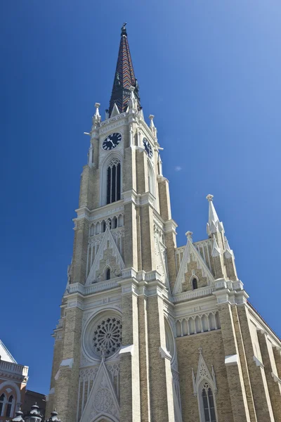 Monument catholic cathedral in the town of Novi Sad, Serbia. — Stock Photo, Image