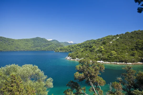 Isola di mijlet, bellissimo paesaggio marino croato — Foto Stock