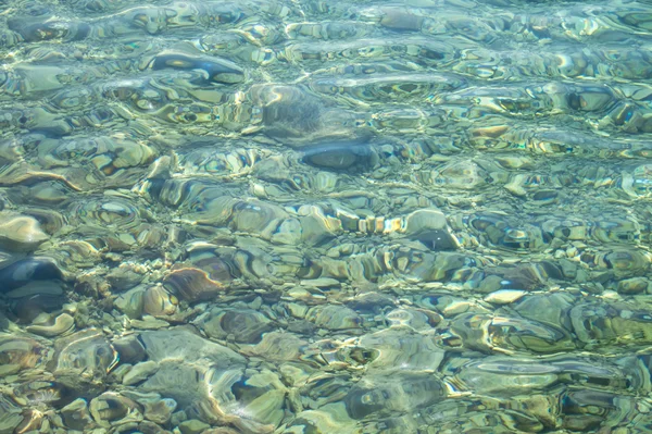 Piso rochoso do mar, água limpa, croácia — Fotografia de Stock