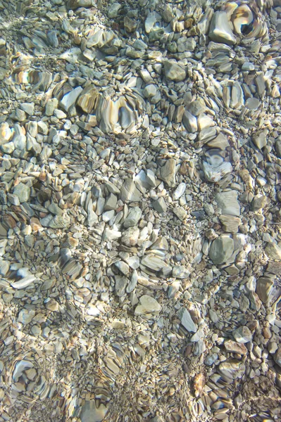 Piso rochoso do mar, água limpa, croácia — Fotografia de Stock