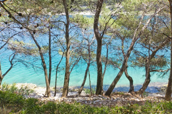 Mooie Zeeden op de zee, rotsachtige strand, Kroatië — Stockfoto