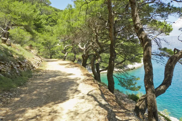 Bella strada sterrata costiera in croazia — Foto Stock