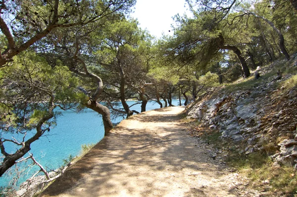 Belle route de terre côtière en croatie — Photo