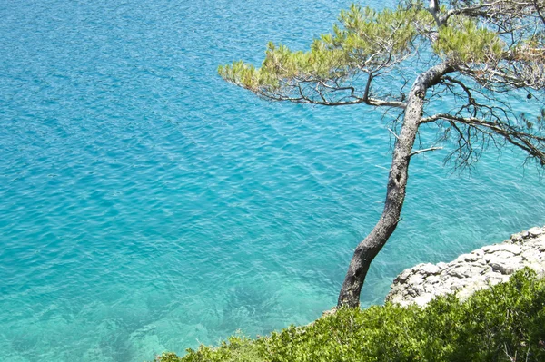 Hermosa playa rocosa en crotia, naturaleza maravillosa, agua azul —  Fotos de Stock