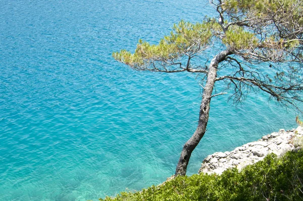 Hermosa playa rocosa en crotia, naturaleza maravillosa, agua azul —  Fotos de Stock