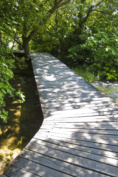 Wooden path through forest. in krka national park, croatia — Stock Photo, Image