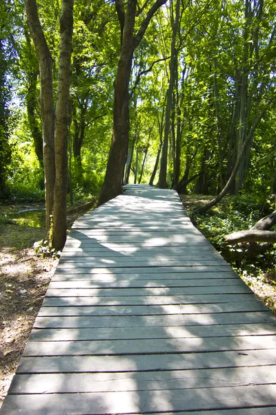 通过森林的木路径。在克尔卡国家公园，克罗地亚 — 图库照片