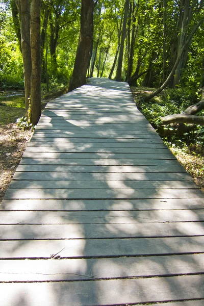 通过森林的木路径。在克尔卡国家公园，克罗地亚 — 图库照片