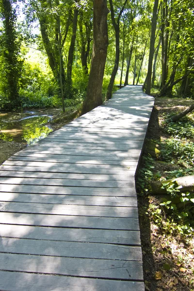 Wooden path through forest. in krka national park, croatia — Stock Photo, Image