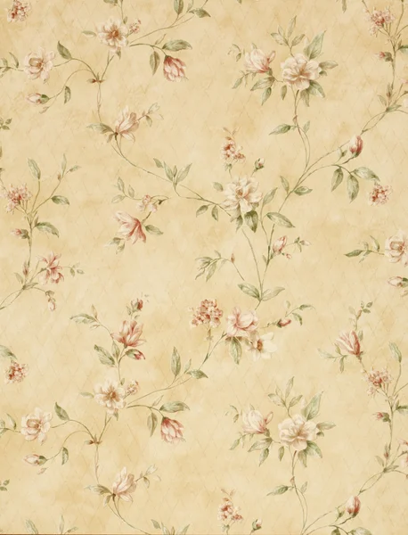 Vintage wallpaper background — Stock Photo, Image