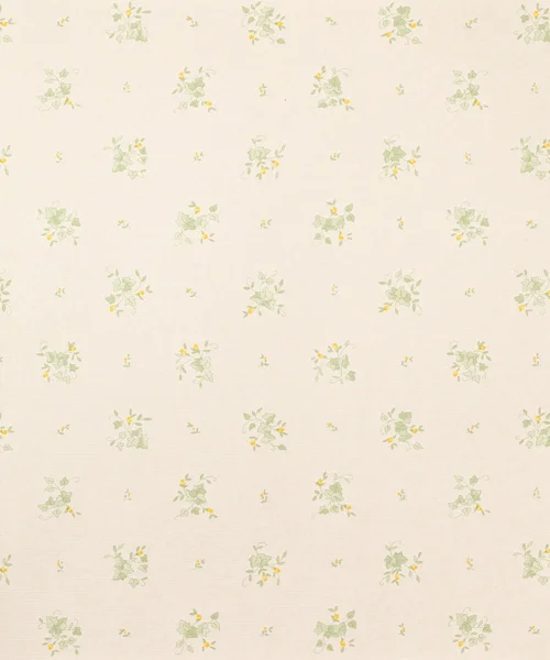 Vintage wallpaper background — Stock Photo, Image