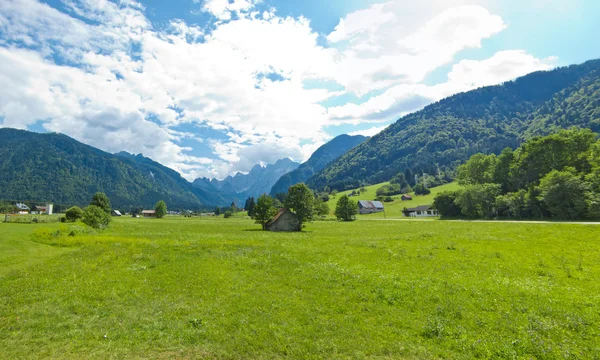 Panoramic view of a mountain meadow — Stock Photo, Image