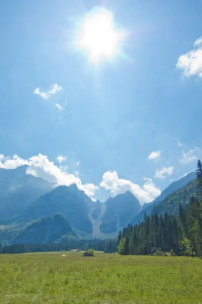 Vacker utsikt över sommaren bergslandskap — Stockfoto