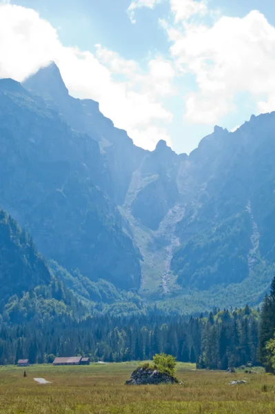 Hermosa vista del paisaje de montaña de verano — Foto de Stock