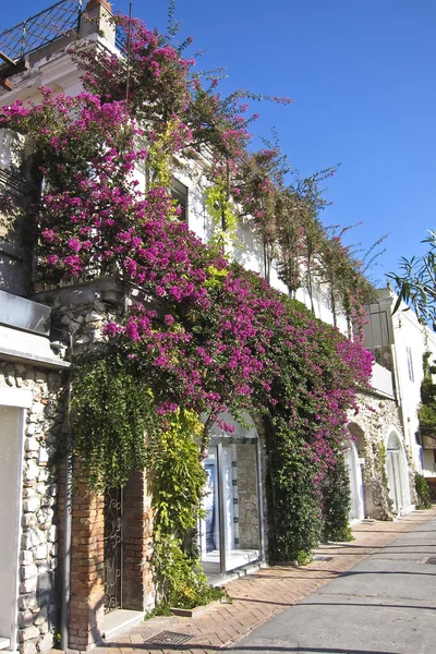 İtalya 'daki güzel Capri Adası, Napoli — Stok fotoğraf