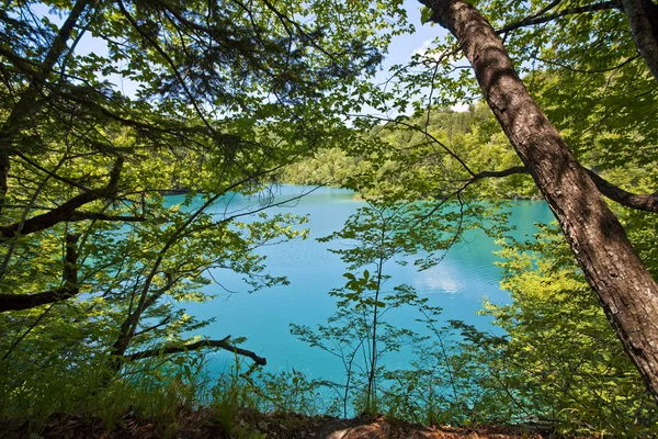 Plitvice lakes national park in Croatia, nature travel backgroun — Stock Photo, Image