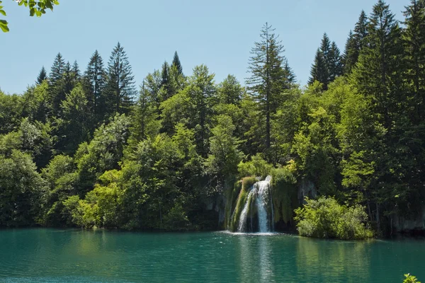 Beautiful forest waterfall in Plitvicka jezera Croatia — Stock Photo, Image