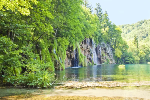 Beautiful forest waterfall in Plitvicka jezera Croatia — Stock Photo, Image