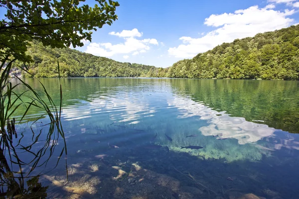 Plitvice lakes national park in Croatia, nature travel backgroun — Stock Photo, Image