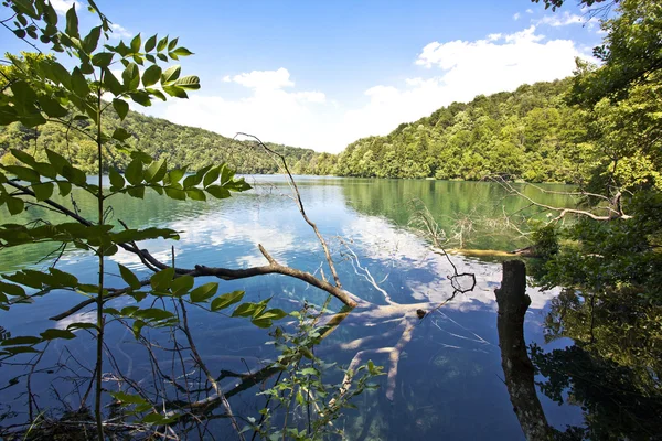 Plitvice lakes national park in Croatia, nature travel backgroun — Stock Photo, Image