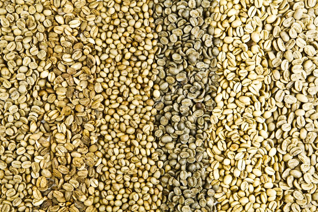 Unroasted Coffee Beans >> Green Unroasted Coffee Beans Stock Photo C Tommasolizzul Unroasted Coffee Beans >> Green Unroasted Coffee Beans Stock Photo C Tommasolizzul