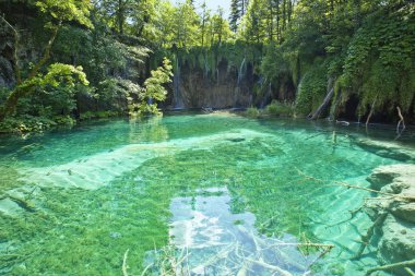 Plitvice Gölleri Milli Parkı Hırvatistan, doğa seyahat adam