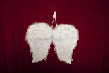 Kırmızı kadife arka planda meleğin kanatları