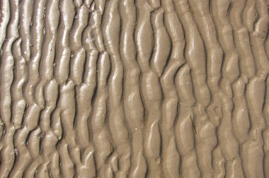 kum yakın kadar abstact arka plan