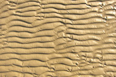 kum yakın kadar abstact arka plan