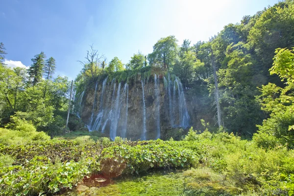 Beautiful forest waterfall in Plitvicka jezera Croatia — Stock Photo, Image