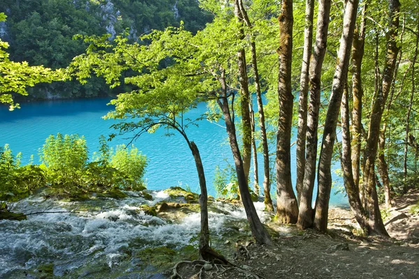 Waterfalls in national park falling into turquoise lake. Plitvic — Stock Photo, Image