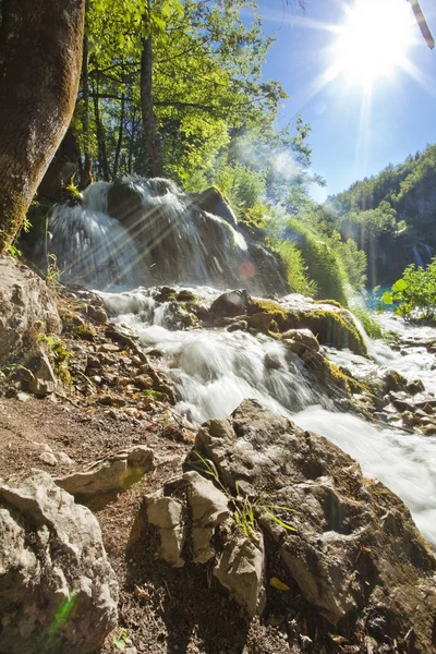 Beautiful forest waterfall in Plitvicka jezera Croatia — Stock Photo, Image