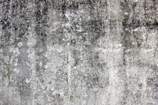 Fondo de superficie de cemento forjado —  Fotos de Stock