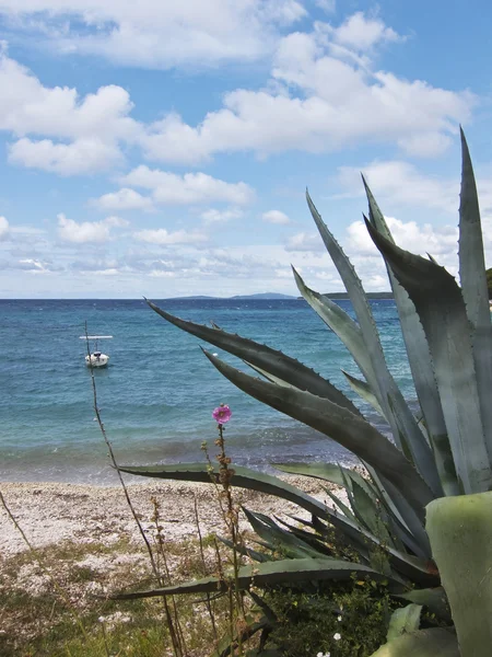 Mooi rotsachtig strand in Kroatië — Stockfoto