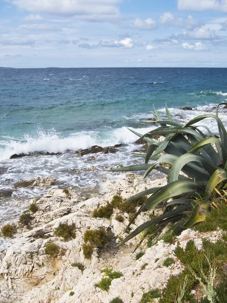 Bella spiaggia rocciosa in croazia — Foto Stock