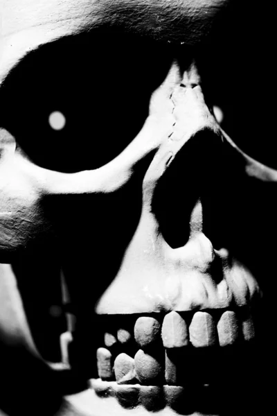 Skull on black — Stock Photo, Image