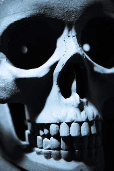 Skull on black — Stock Photo, Image