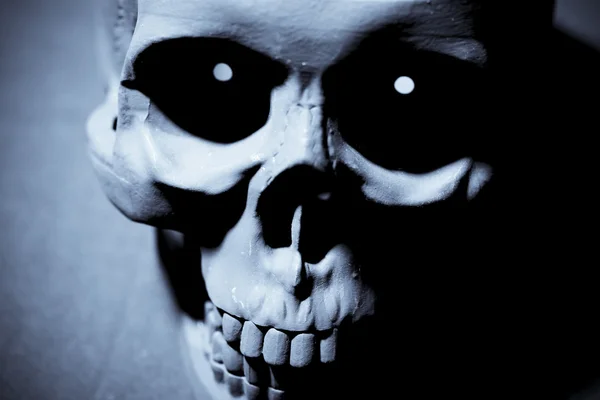 Skull on black — Stock Photo, Image