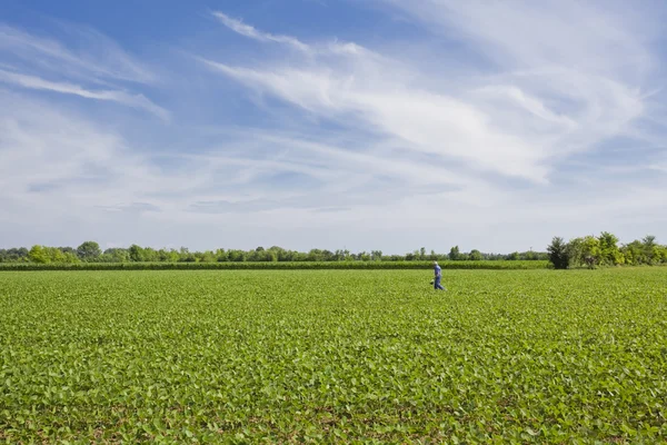 Farmer at work — Stock Photo, Image