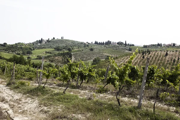 Paisagem da Toscana — Fotografia de Stock