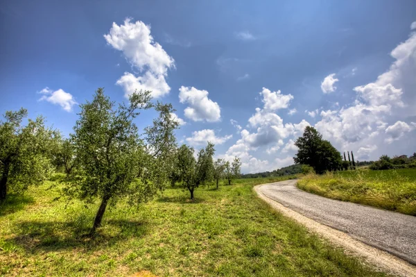 Paesaggio della Toscana — Foto Stock