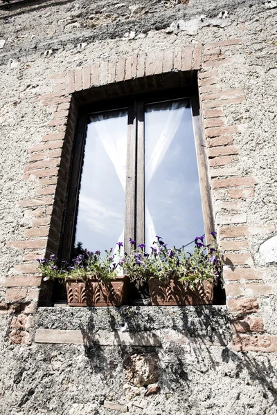 Okno s květinou v Toskánsku — Stock fotografie