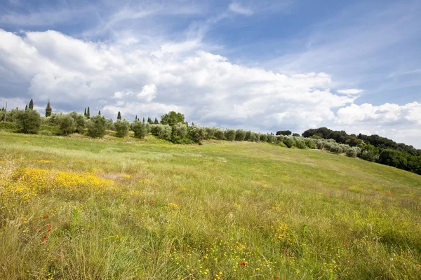 Landschaft der Toskana — Stockfoto