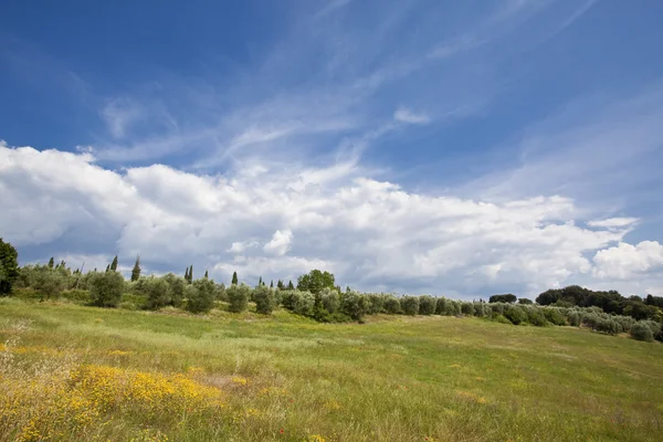 Paesaggio della Toscana — Foto Stock