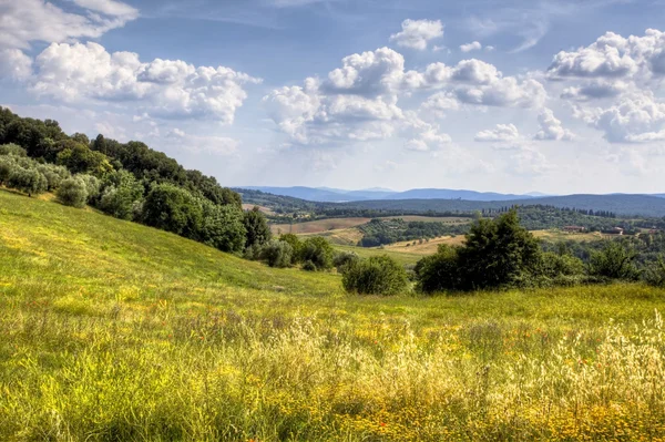 Paisaje en Toscana — Foto de Stock