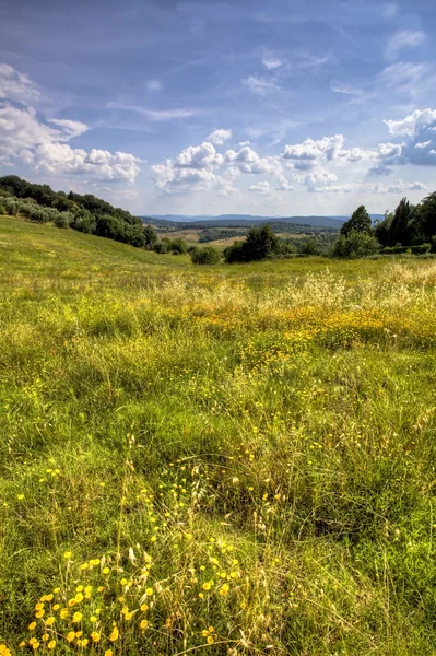 Landschaft der Toskana — Stockfoto