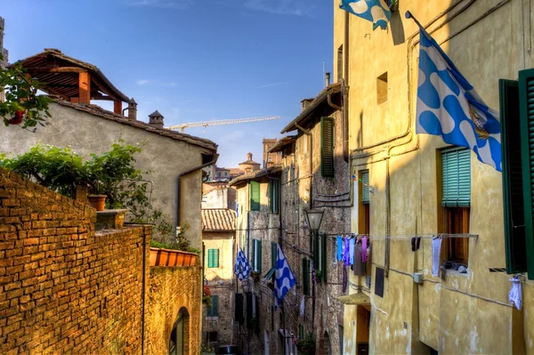 Old town in siena — Stock Photo, Image
