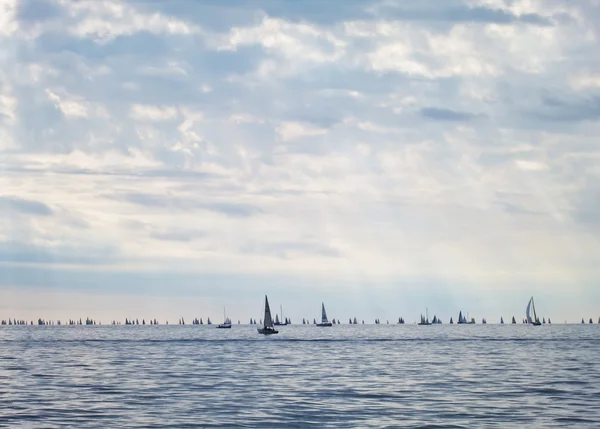 Barcolana, regata de veleiro em Trieste. itália — Fotografia de Stock